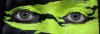mory291's Avatar